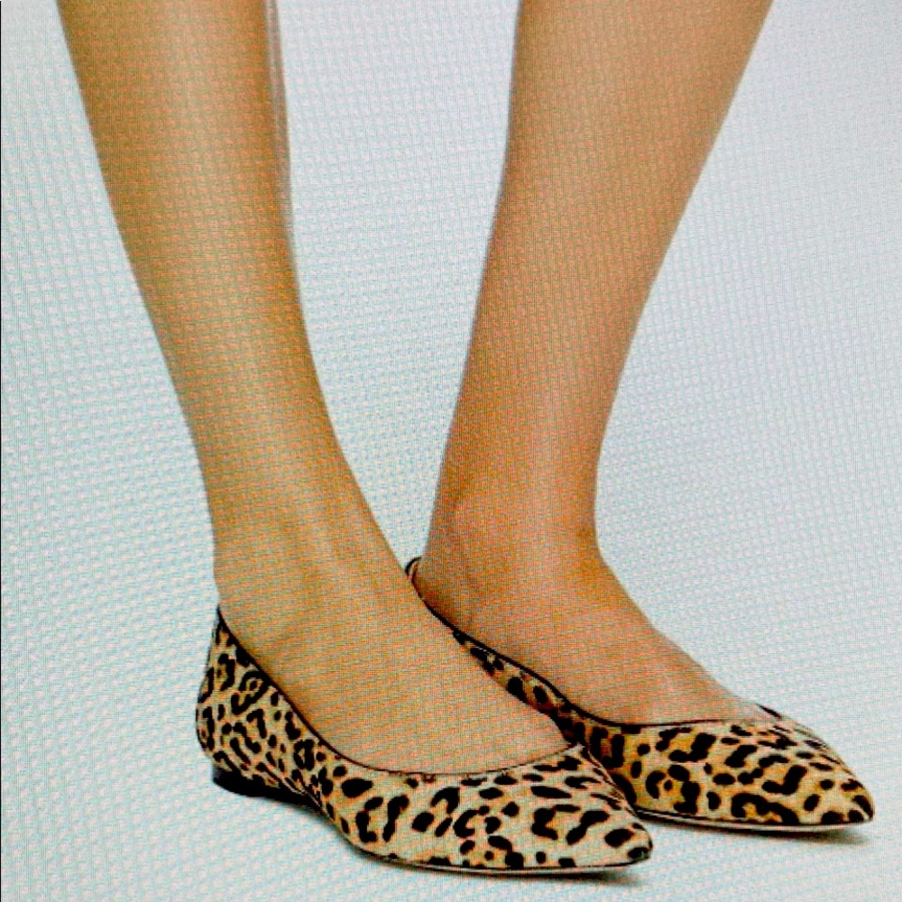 Sam Edelman Riza Leopard Calf Hair Flat Pointed Toe Slip On